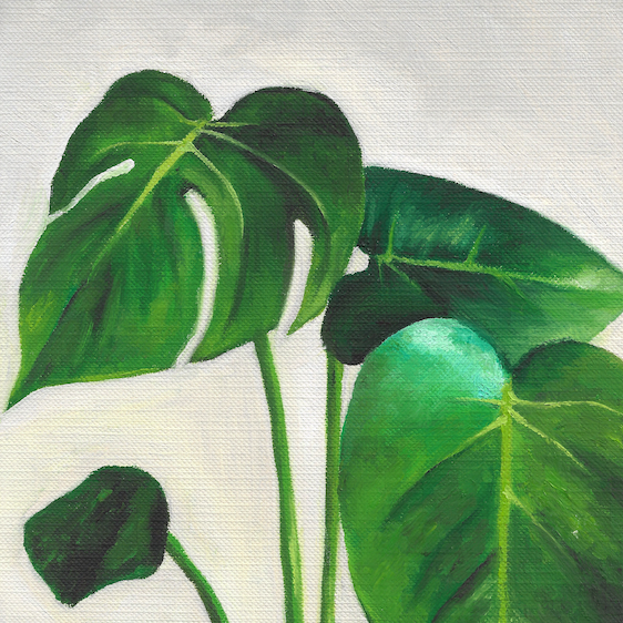 Monstera Study - Fine Art Print