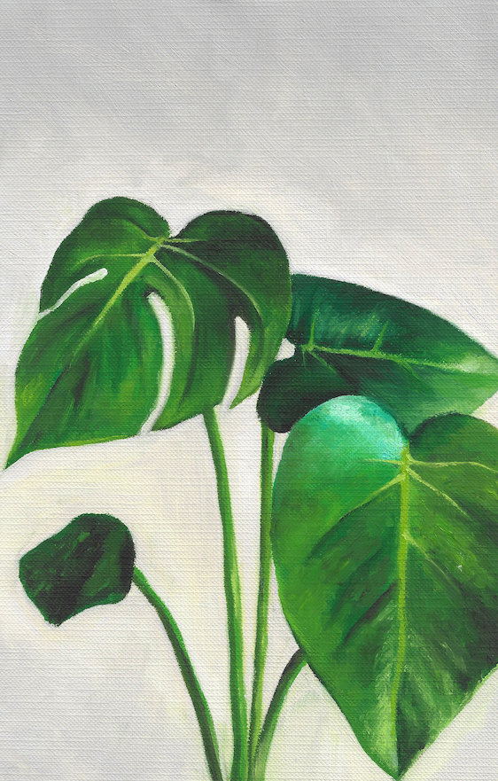 Monstera Study - Fine Art Print