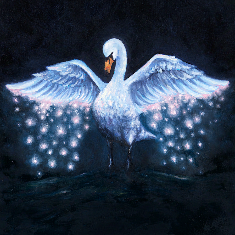 Swan Medicine - Fine Art Print